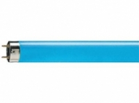 TL-D kleur blauw
