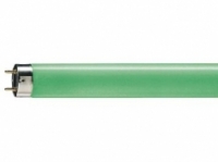 TL-D kleur groen