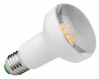 Vervangt E27 R63mm. 40 watt gloeilamp